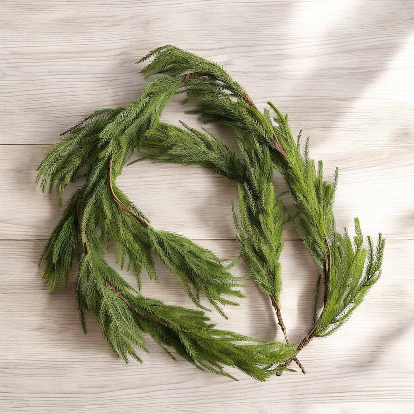 5' Soft Touch Evergreen Norfolk Pine Garland